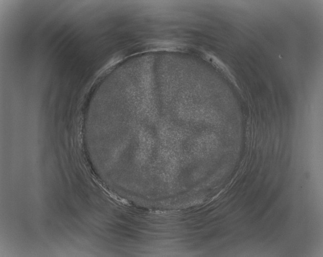 X0000082201411200702092349