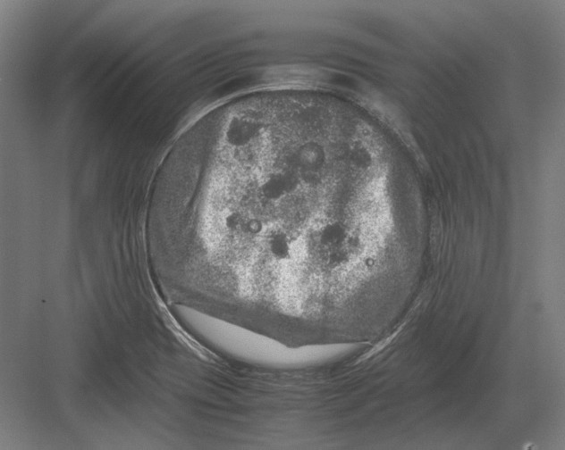 X0000082201417200702092349