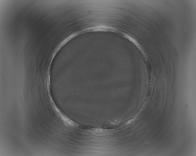 X0000082201418200702092349