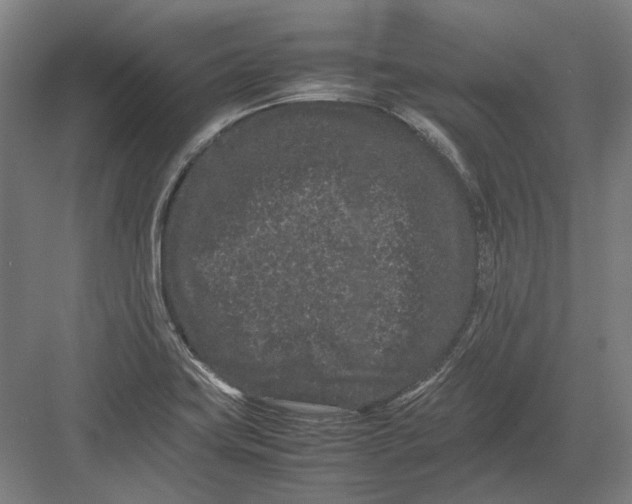 X0000082201419200702092349