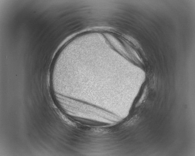 X0000082201420200702092349