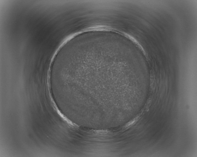 X0000082201421200702092349