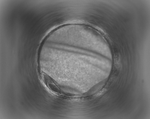 X0000082201422200702092349