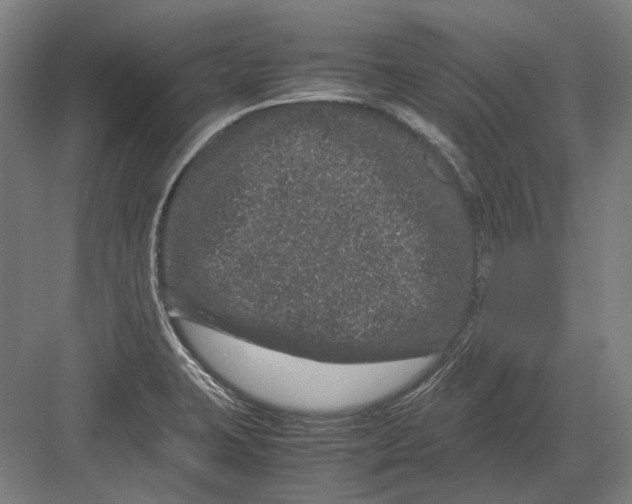 X0000082201423200702092349