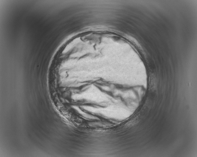 X0000082201424200702092349