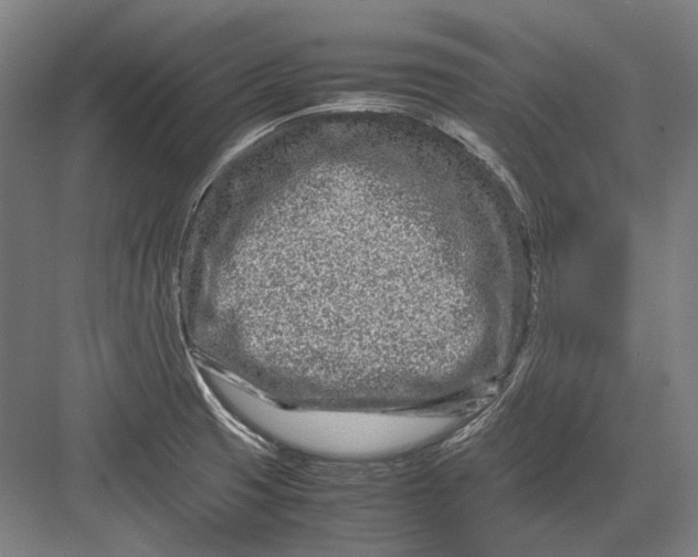 X0000082201425200702092349