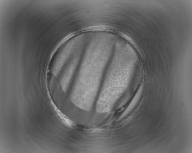 X0000082201426200702092349