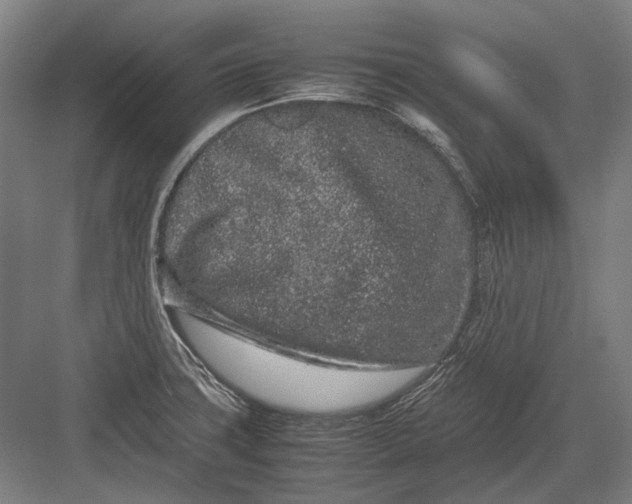 X0000082201427200702092349