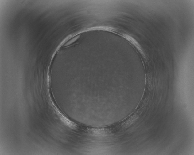 X0000082201428200702092349