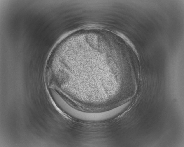 X0000082201429200702092349