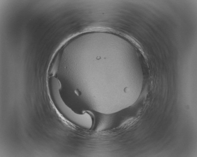 X0000082201430200702092349