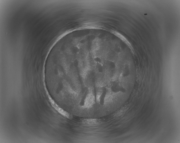 X0000082201431200702092349