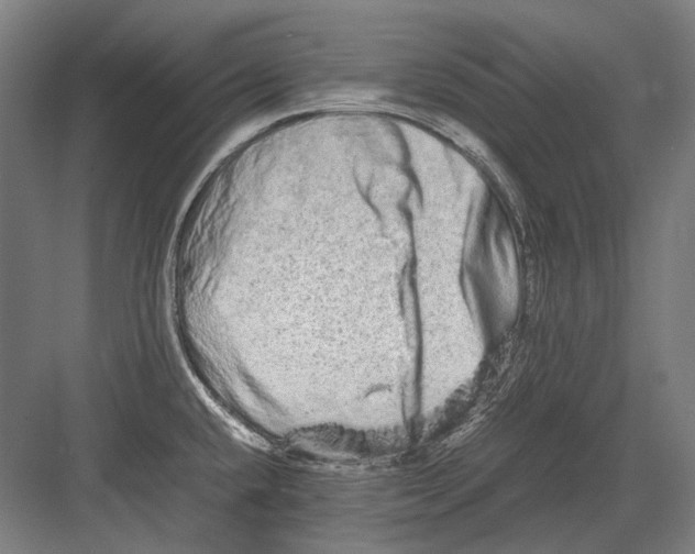 X0000082201432200702092349