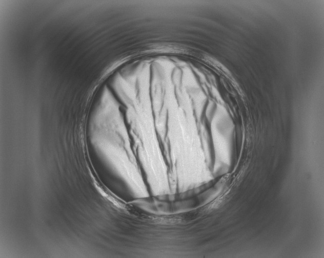 X0000082201433200702092349