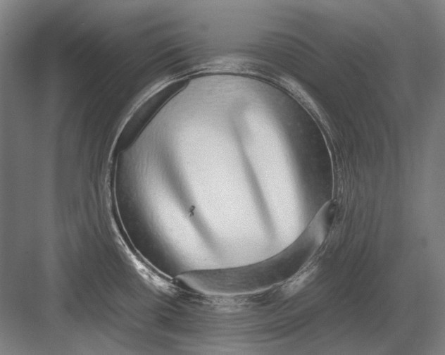 X0000082201434200702092349