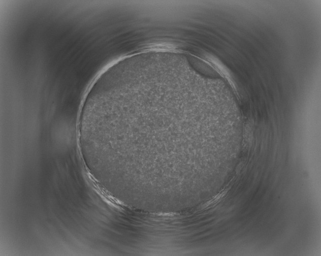 X0000082201435200702092349