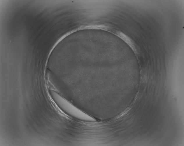 X0000082201436200702092350