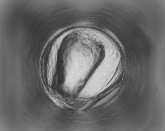 X0000082201437200702092350