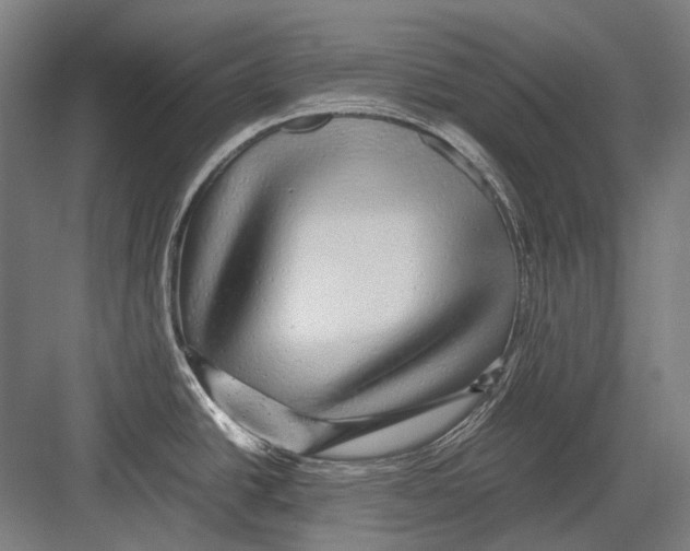 X0000082201438200702092350