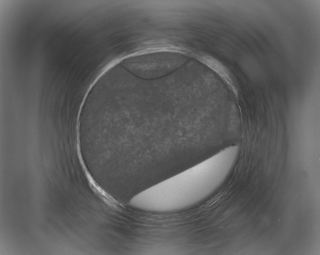 X0000082201439200702092350