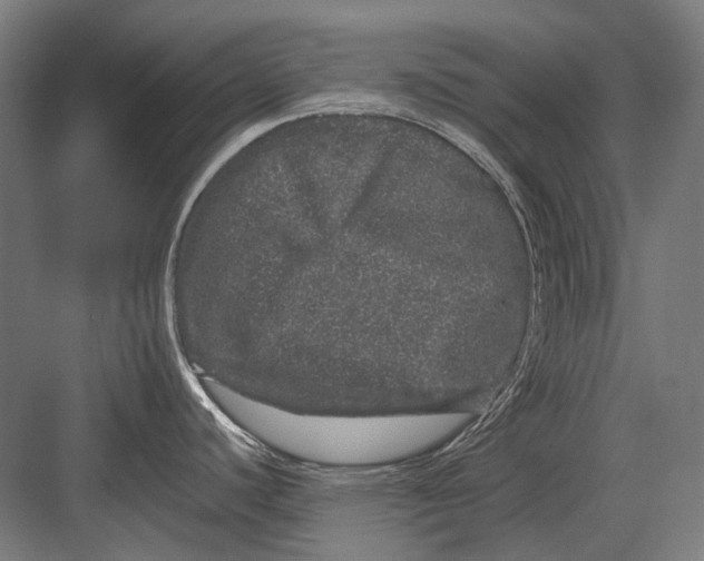 X0000082201440200702092350