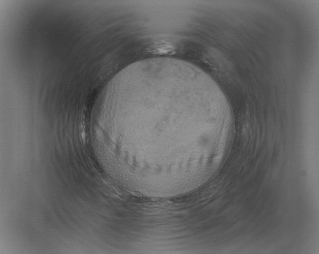 X0000082201442200702092349