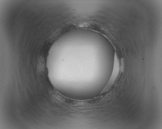 X0000082201443200702092349