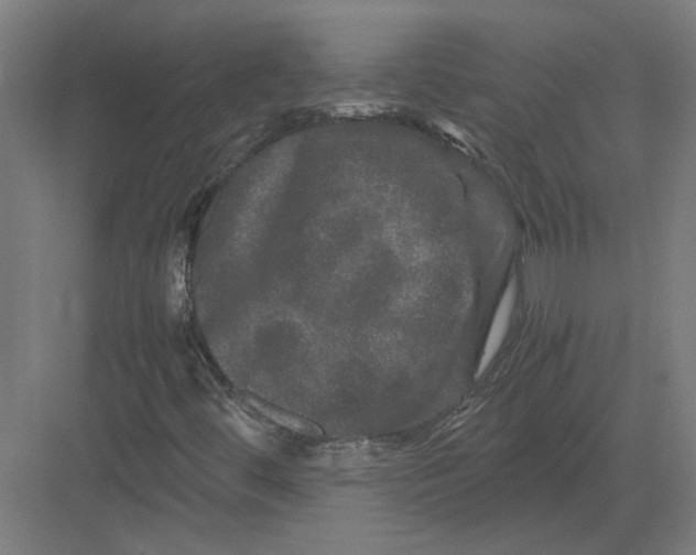 X0000082201444200702092349