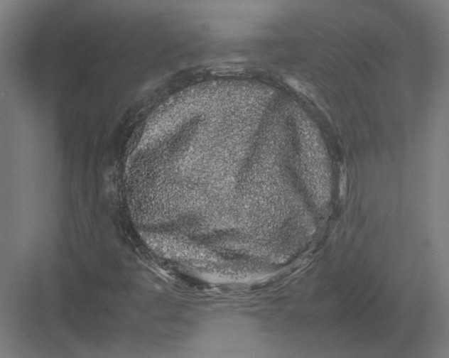 X0000082201445200702092349