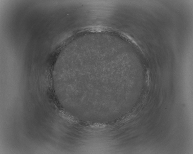 X0000082201446200702092349