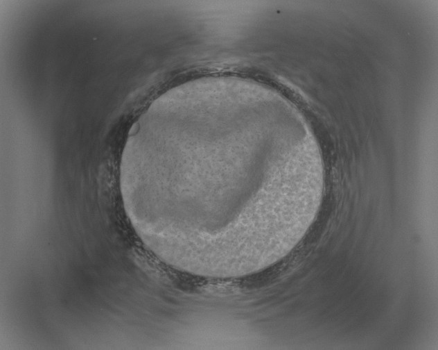 X0000082201447200702092349