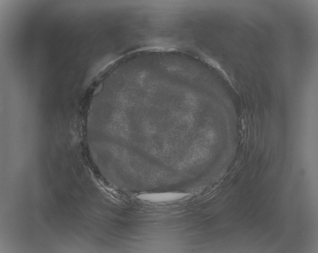 X0000082201448200702092349