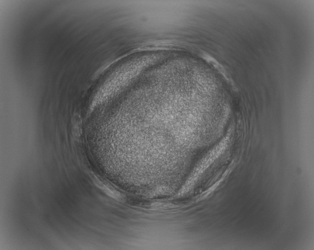 X0000082201449200702092349