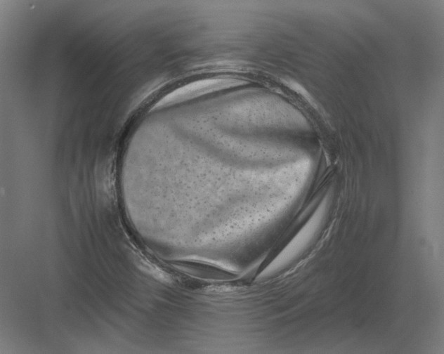 X0000082201450200702092349