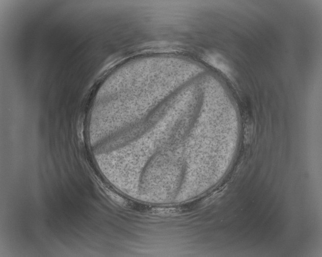 X0000082201451200702092349