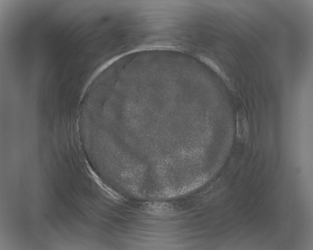 X0000082201452200702092349