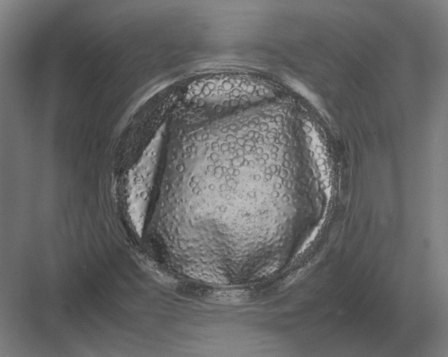 X0000082201453200702092349