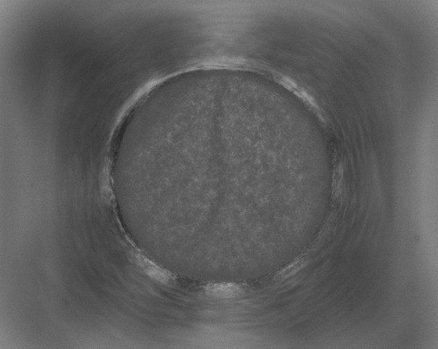 X0000082201454200702092349