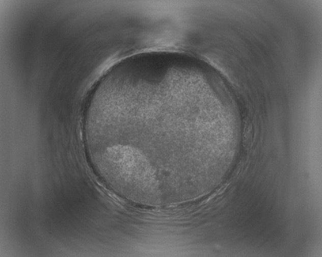 X0000082201455200702092349