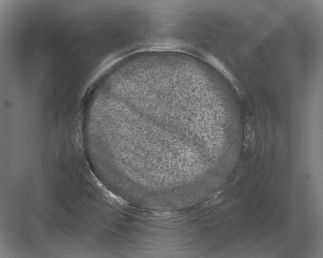 X0000082201456200702092349