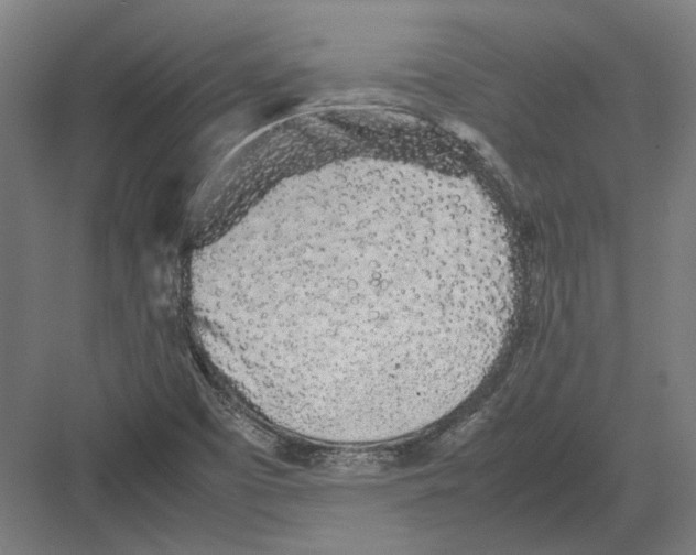 X0000082201457200702092349