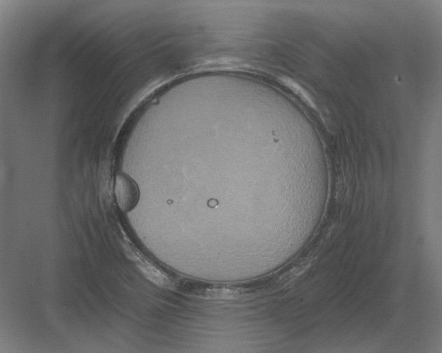 X0000082201458200702092348