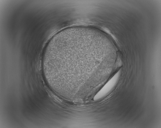 X0000082201459200702092348