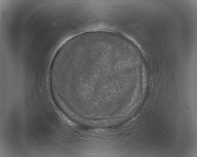 X0000082201463200702092348