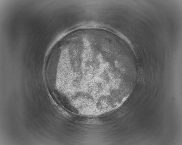 X0000082201464200702092348