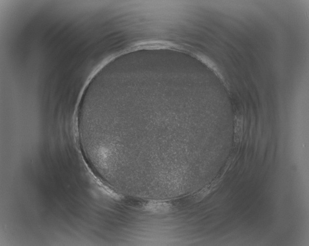 X0000082201466200702092348