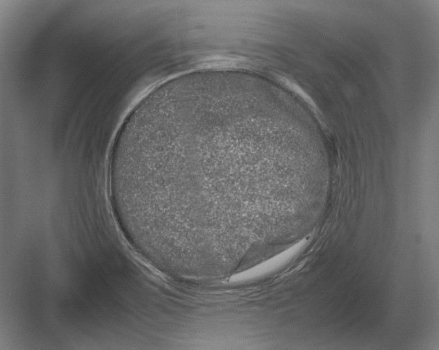 X0000082201467200702092348