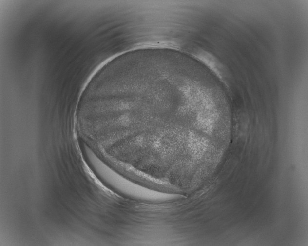 X0000082201468200702092348