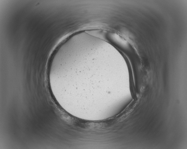 X0000082201469200702092348