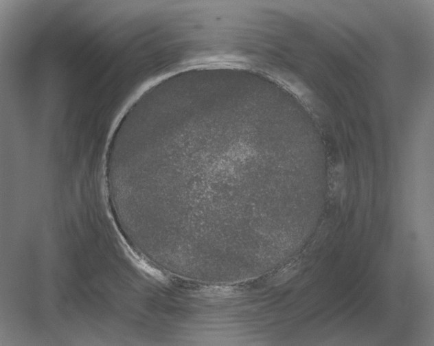 X0000082201470200702092348